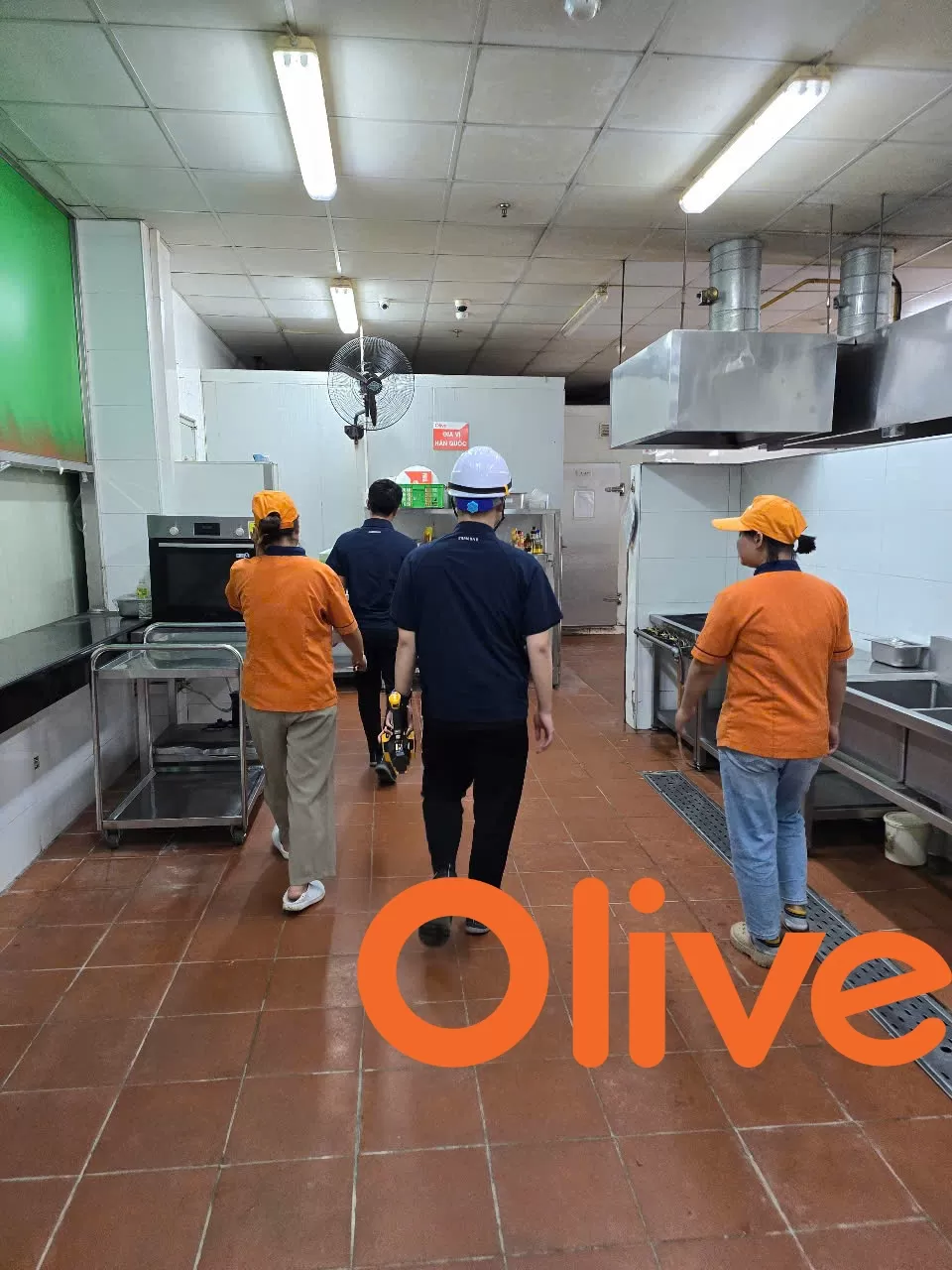 Olive và sự chuẩn bị nghiêm túc cho mọi cuộc audit
