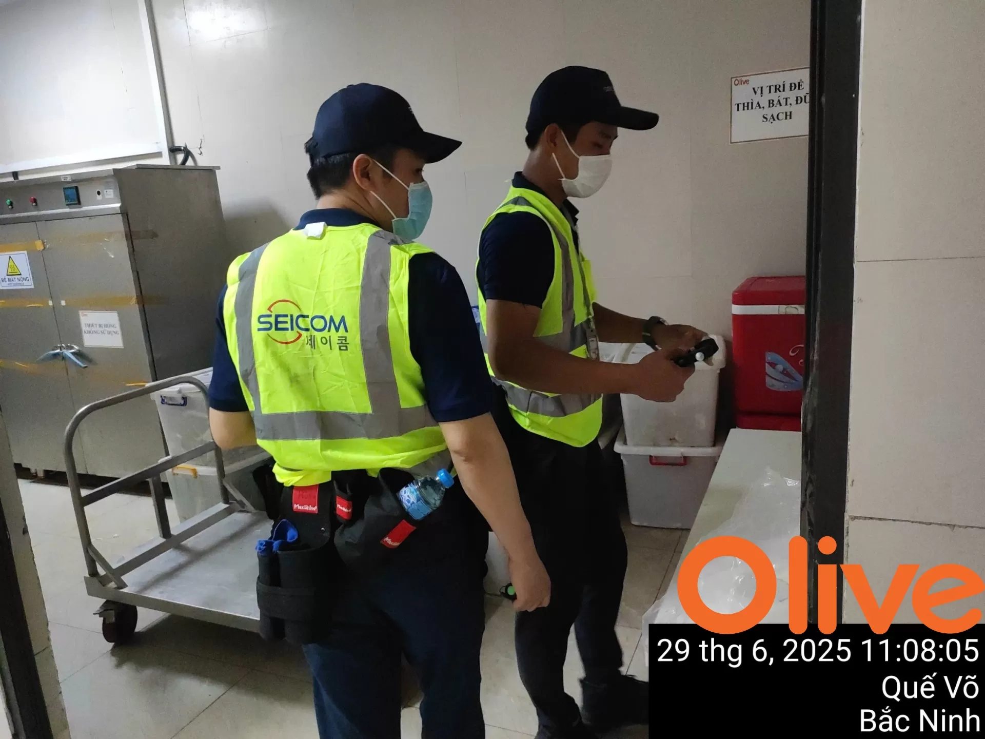 Olive phòng chống côn trùng toàn diện trong bếp ăn công nghiệp