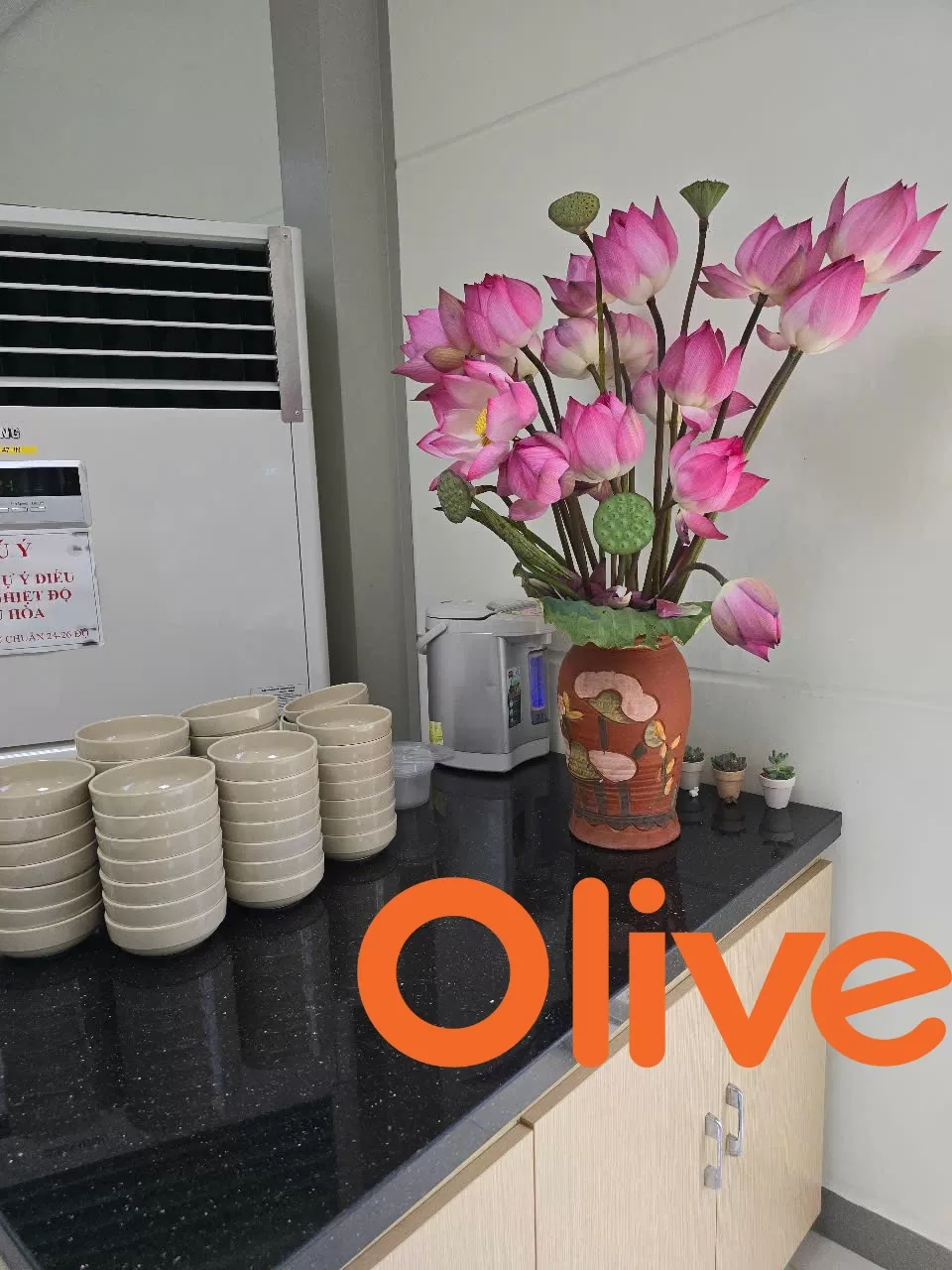 Suất Ăn Ngon – Không Gian Đẹp Tại Bếp Ăn Olive