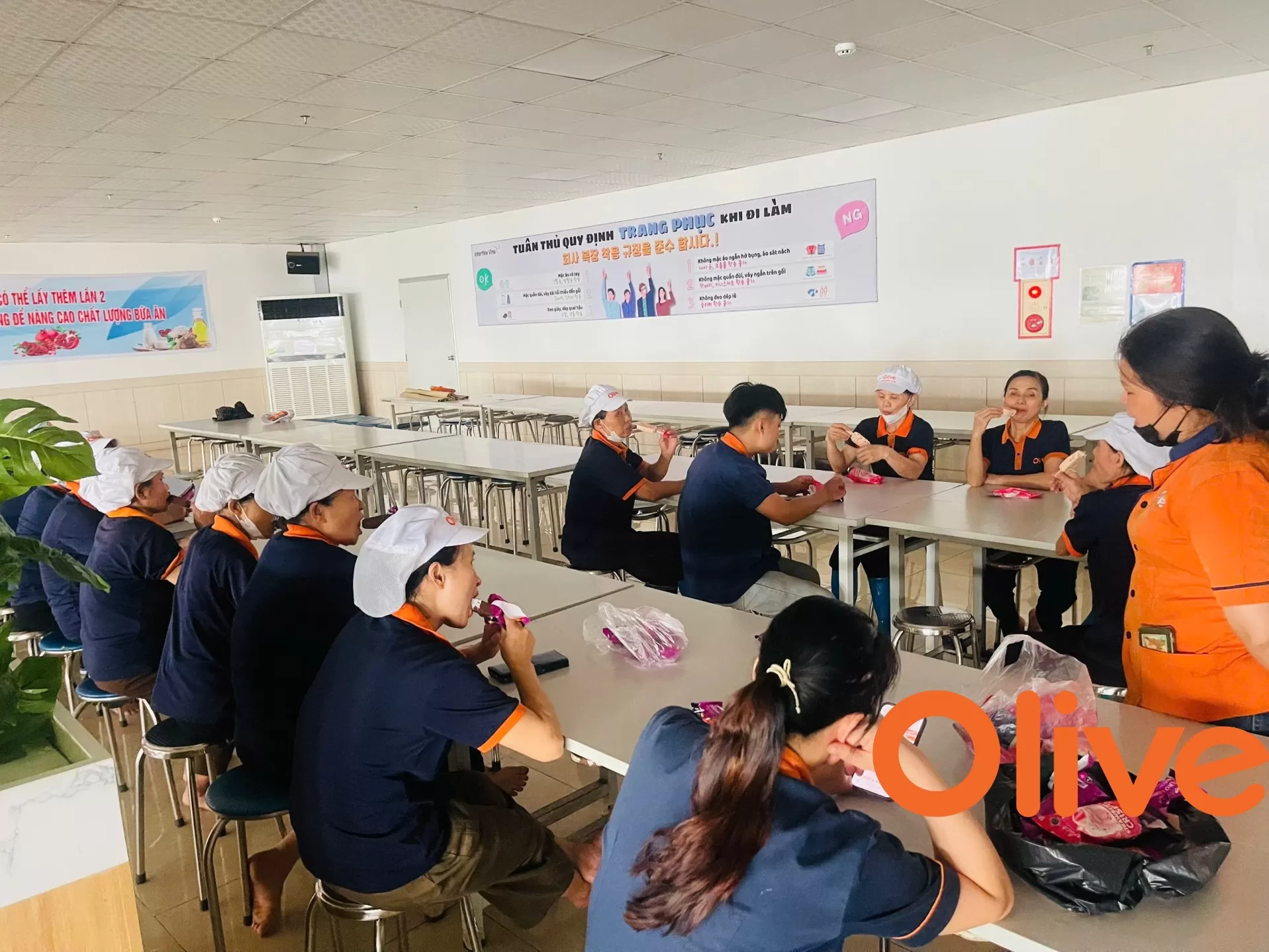 Tại Olive: Không chỉ là đồng nghiệp – Chúng tôi là một gia đình